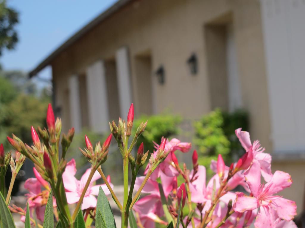 Les Communs Du Manoir Apartman Écully Szoba fotó