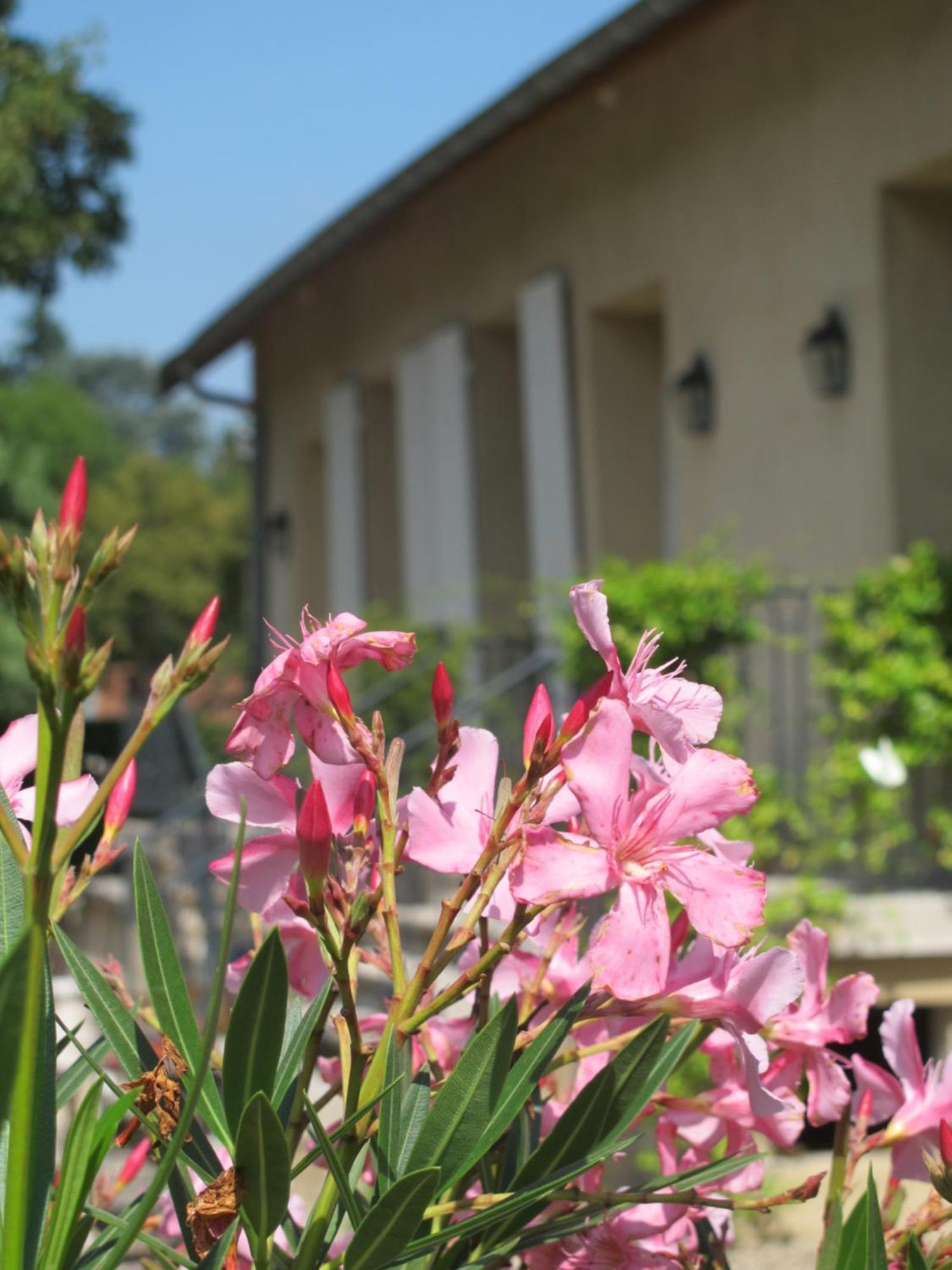 Les Communs Du Manoir Apartman Écully Szoba fotó