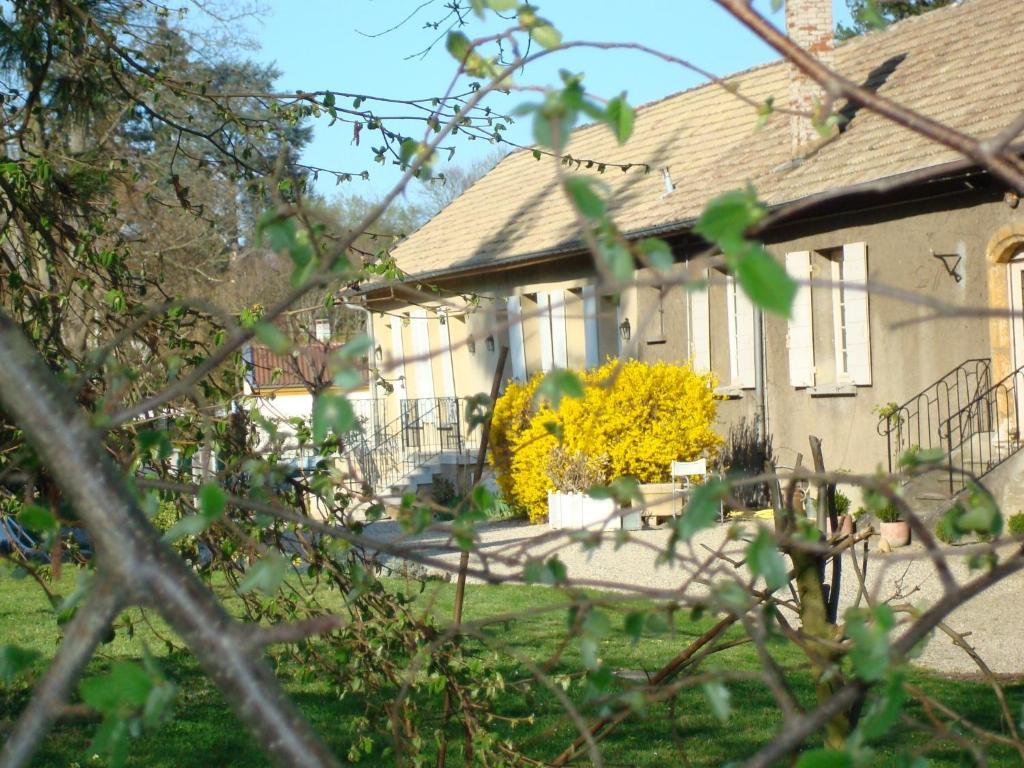 Les Communs Du Manoir Apartman Écully Kültér fotó