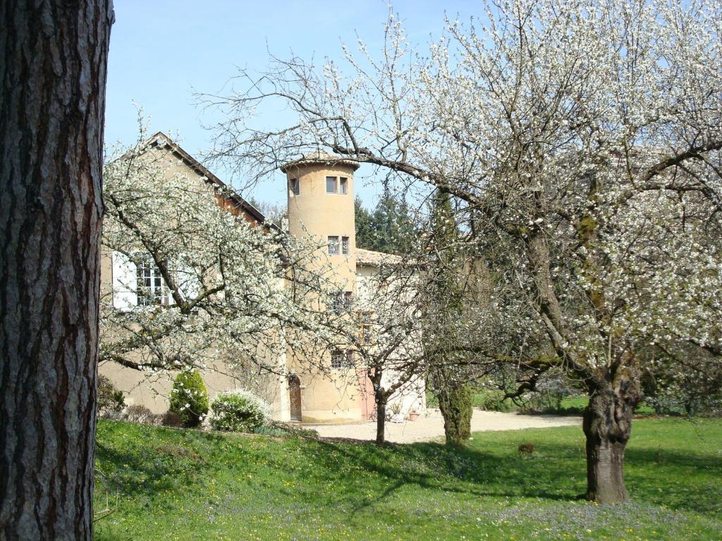 Les Communs Du Manoir Apartman Écully Kültér fotó