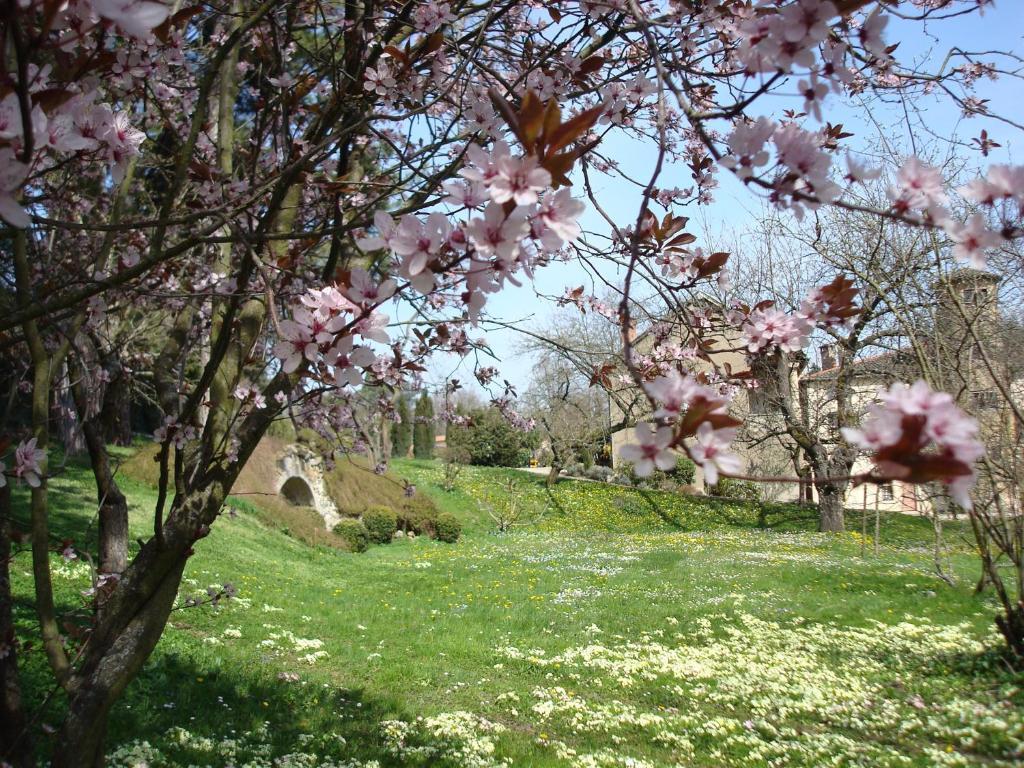 Les Communs Du Manoir Apartman Écully Kültér fotó