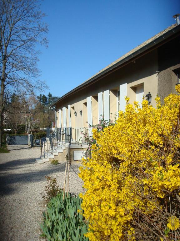 Les Communs Du Manoir Apartman Écully Kültér fotó